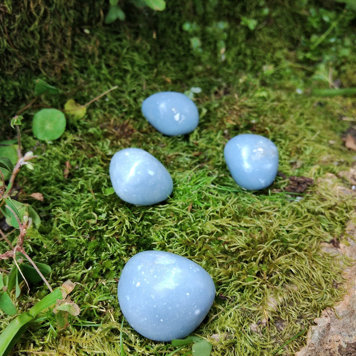 Angelite de Bolso