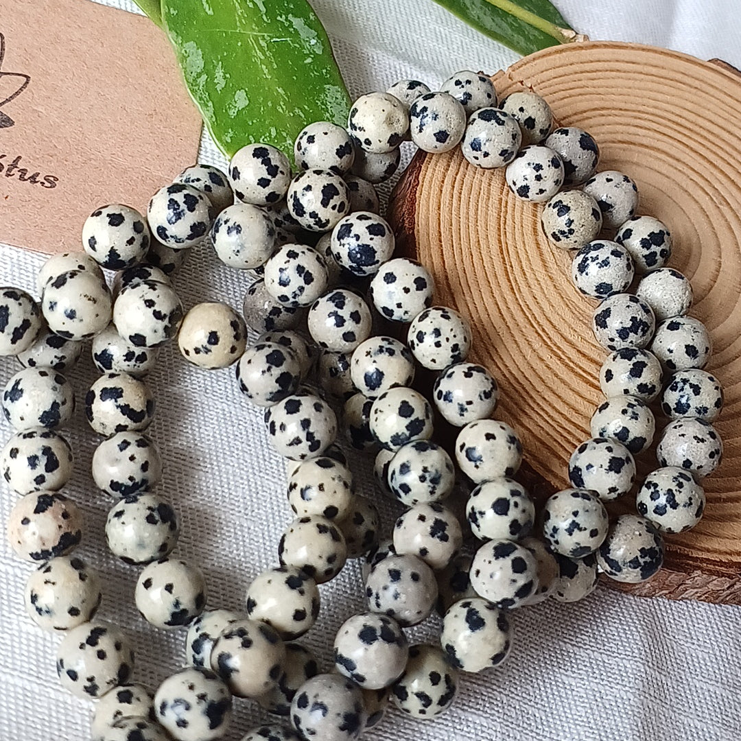 Dalmatian Jasper Bracelet