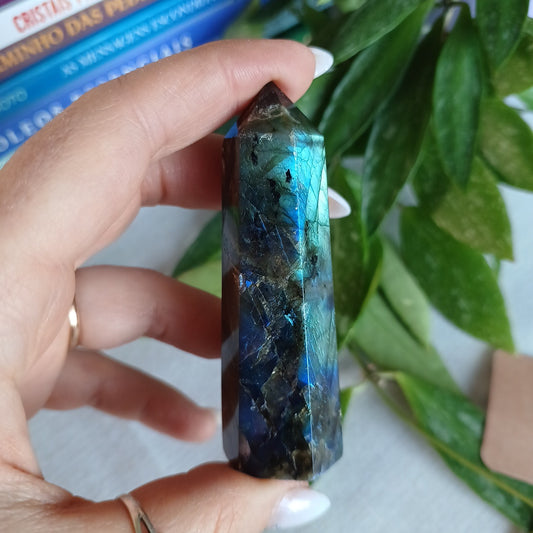 TL5 Labradorite Generator