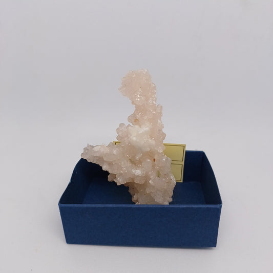 ARG03 Coraloid Aragonite