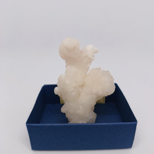 ARG04 Coraloid Aragonite