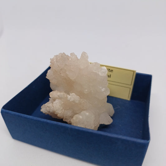 ARG01 Coraloid Aragonite