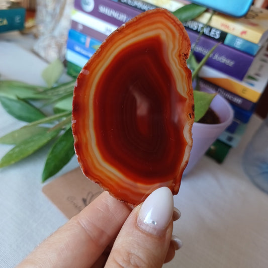 AC08-Fire Agate Slice