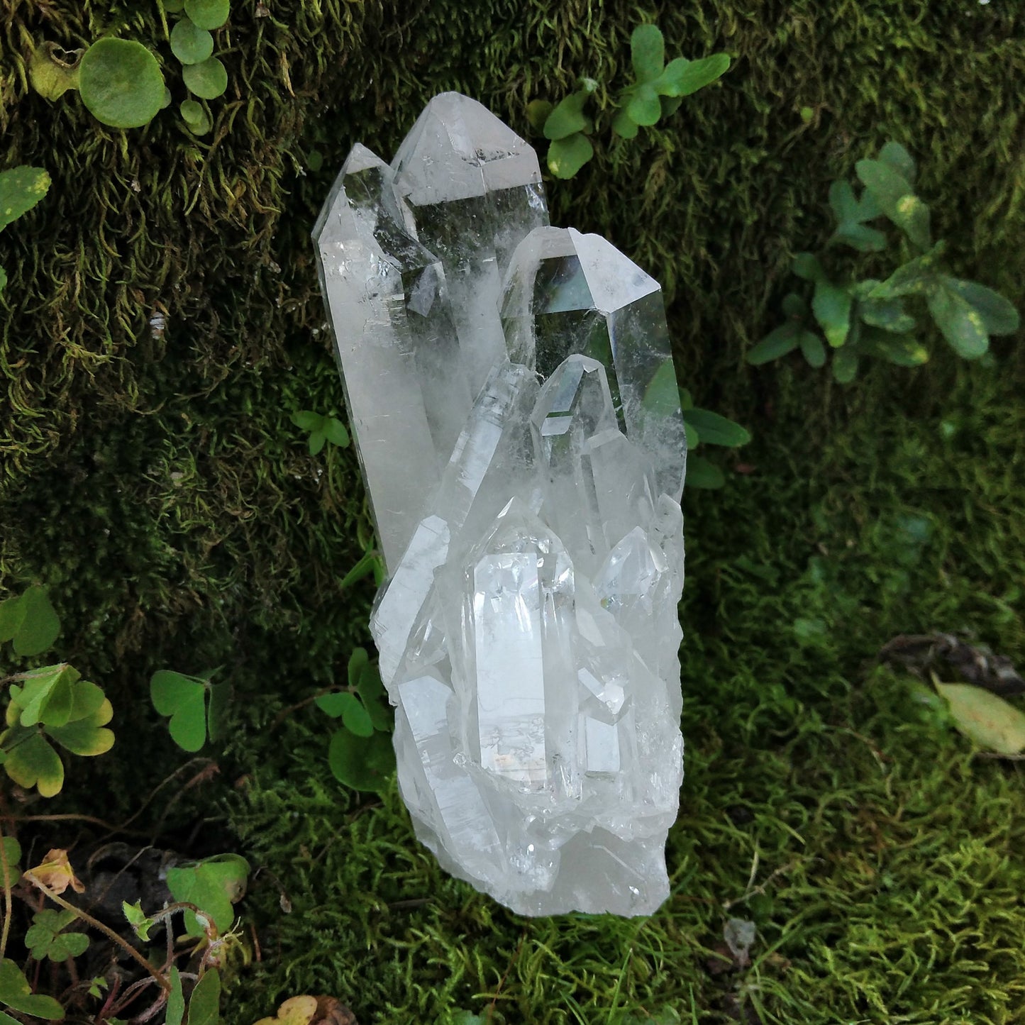 88 - Crystal Quartz Druse