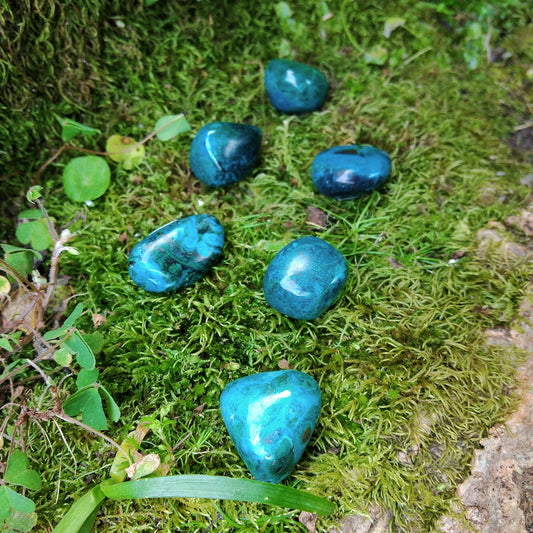 Pocket Chrysocolla