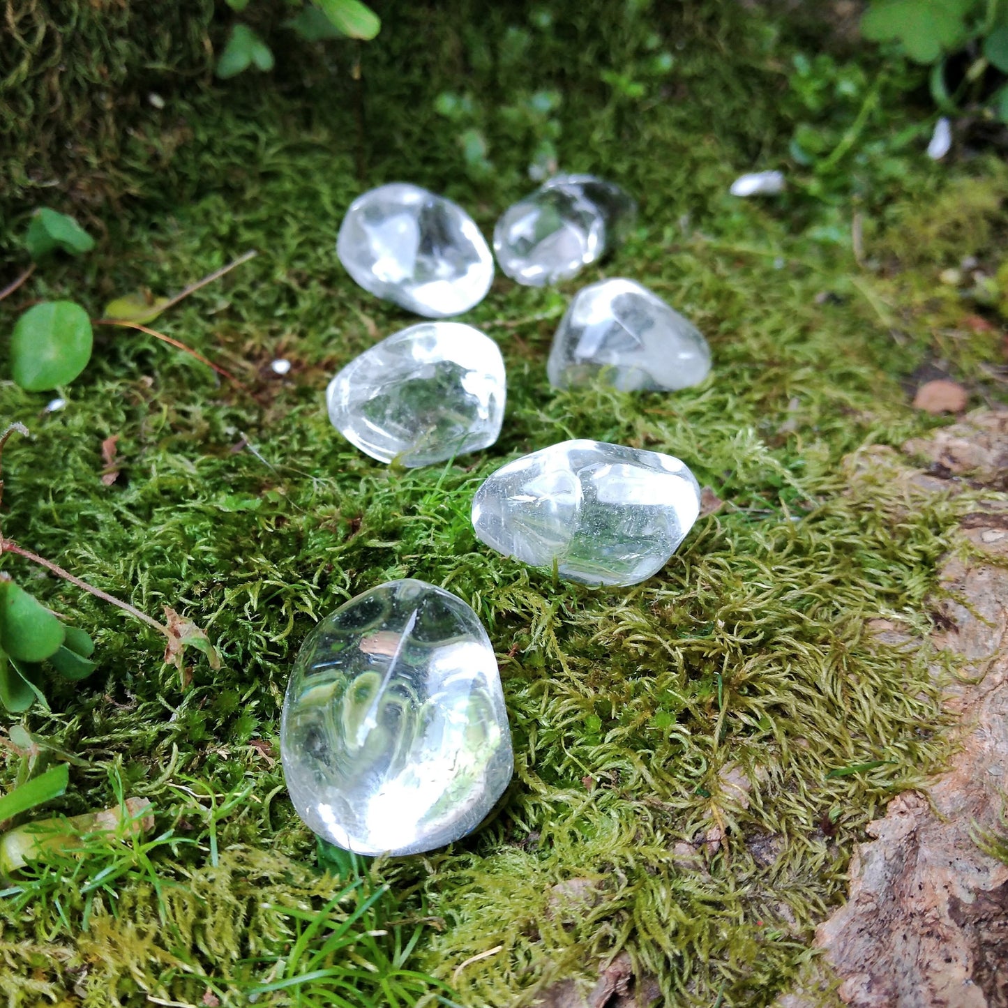 Quartzo Cristal de Bolso