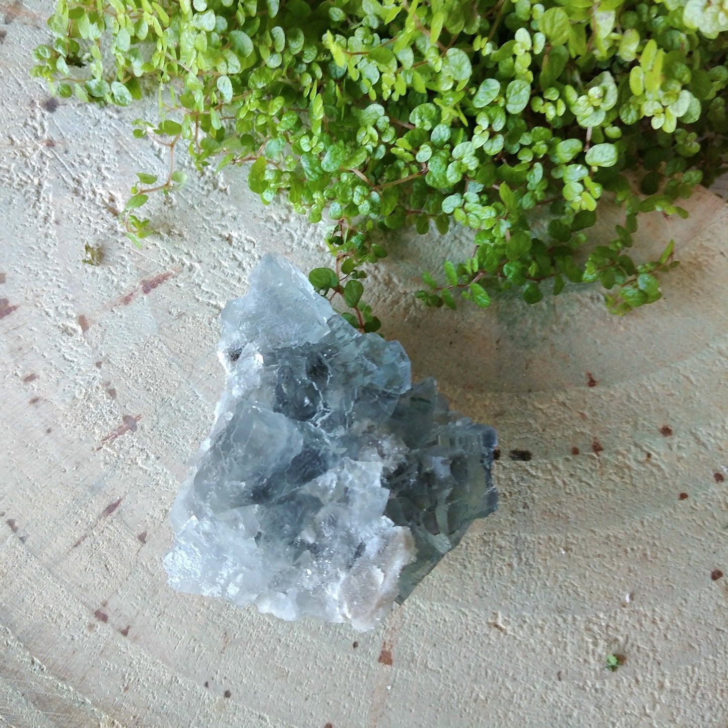 Drusa de Fluorite de Espanha