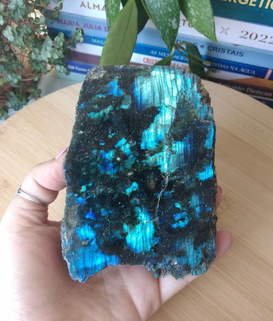 Labradorite Semipolida