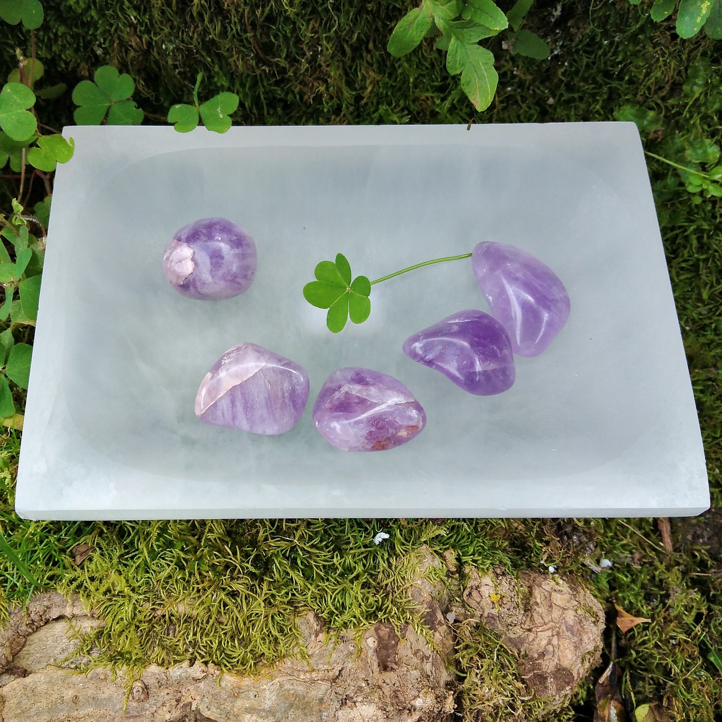 Rectangular Cup in Selenite